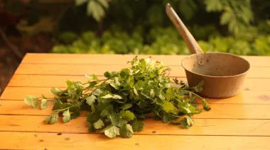 garnishing-instructions-image